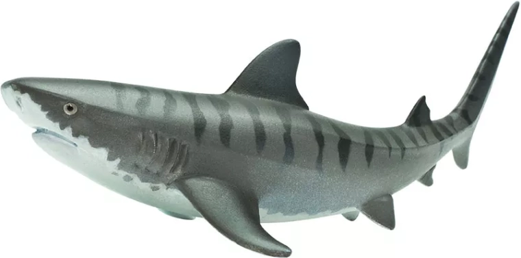 Safari Ltd. Figurine de requin-tigre - 1 pièce