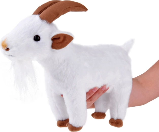 Légère et idéale pour les petites mains