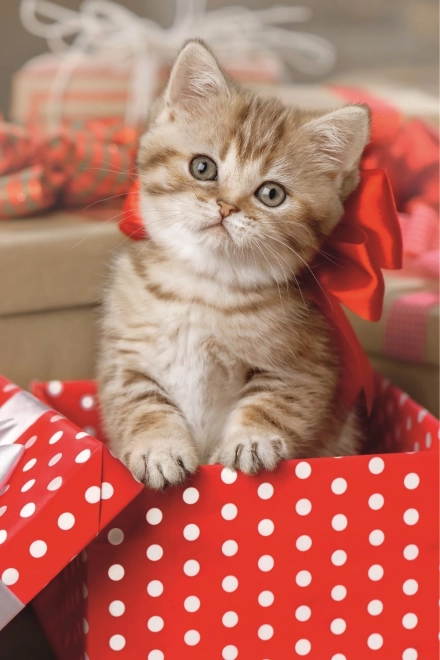 Puzzle TREFL petit chaton mignon 54 pièces