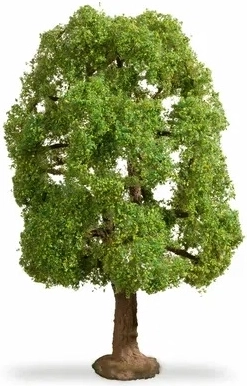 Arbre maître Noch frêne 20 cm
