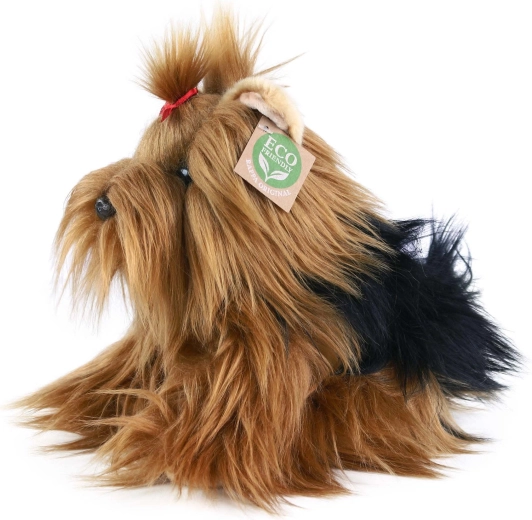Doux terrier du Yorkshire