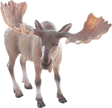 Rendu réaliste pour une expérience authentique