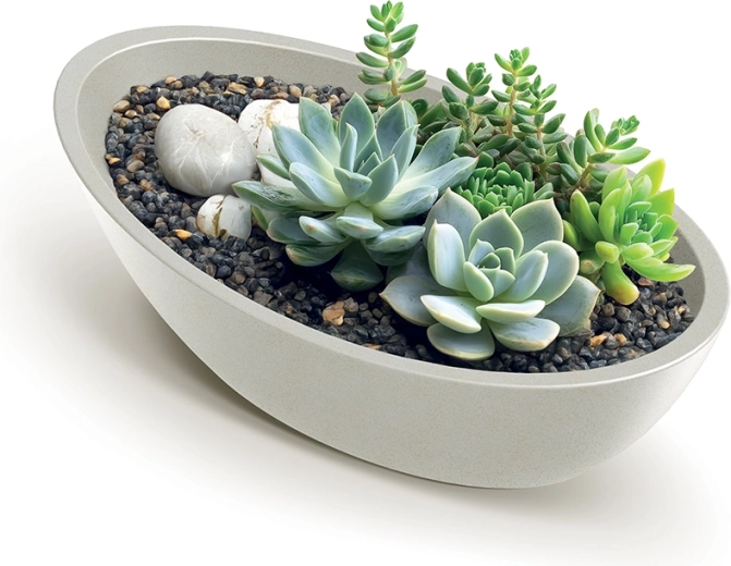 Idéale pour les herbes, fleurs et succulentes