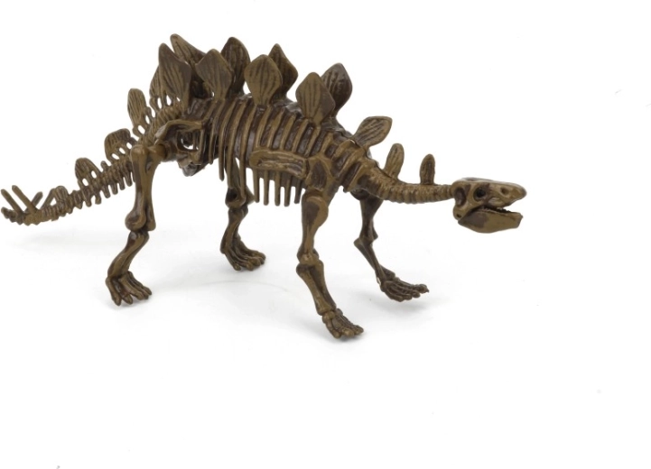 Kit archéologique 3D Stegosaurus