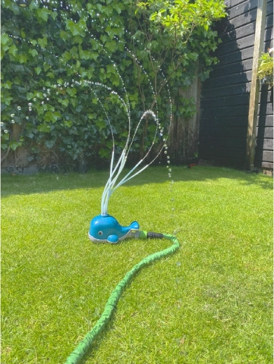 Un jeu rafraîchissant dans le jardin