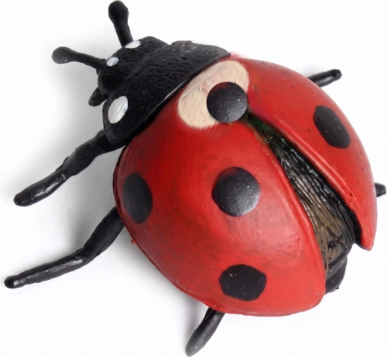Finition réaliste de la coccinelle