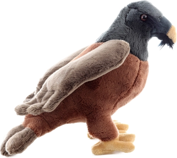 Taille idéale 25 cm