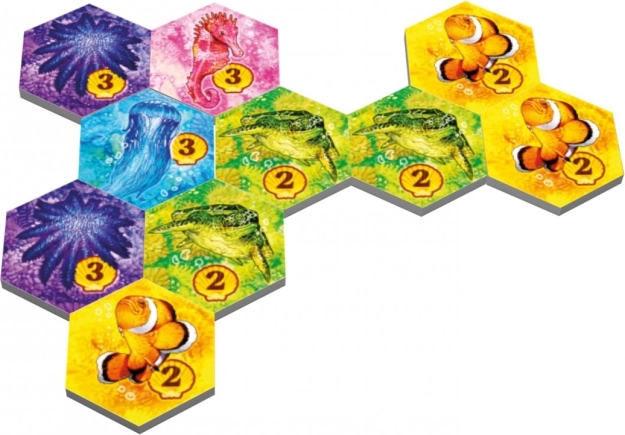 De superbes illustrations de la faune marine