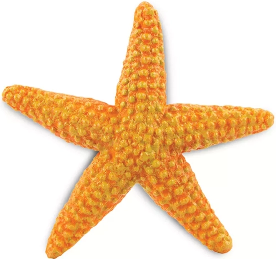 Étoile de mer orange Safari Ltd. - 1 pièce
