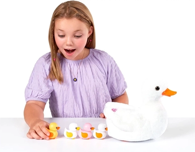 Des canetons en « petit train » grâce aux aimants
