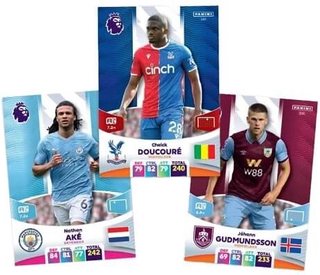 Album jusqu’à 540 cartes