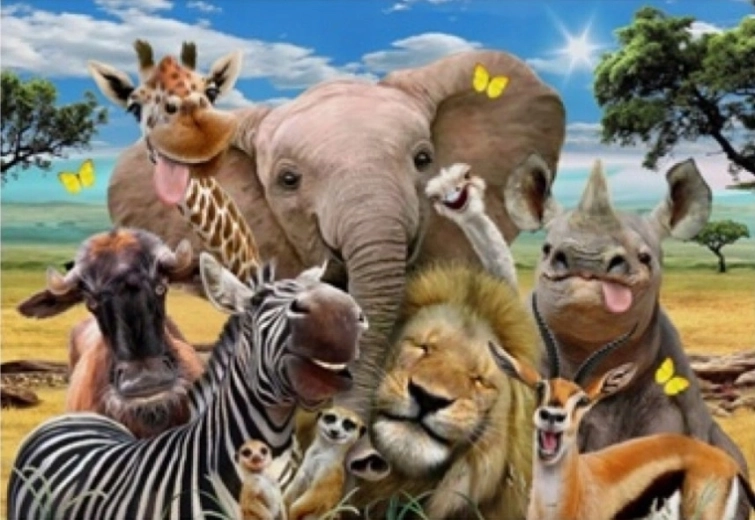 Norimpex peinture par numéros Safari 40 × 50 cm