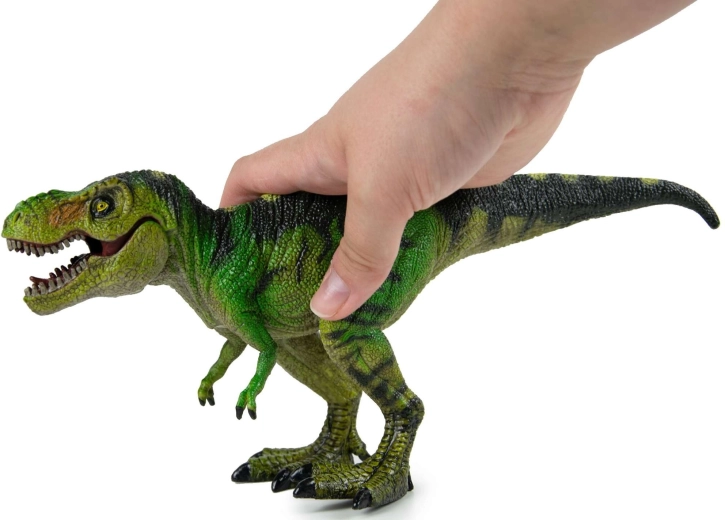 Conception résistante pour un plaisir durable