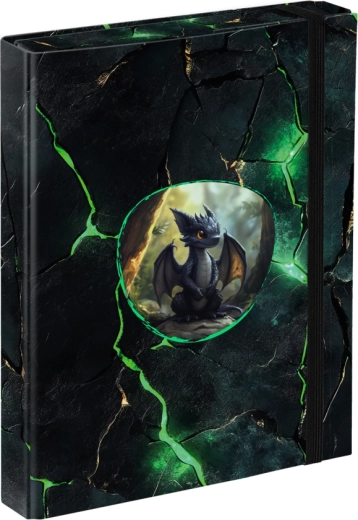 Chemises pour cahiers A5 BAAGL Dragons