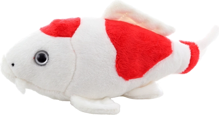 Détails réalistes de la carpe koi