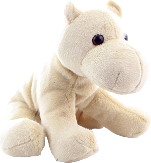 Détails adorables et conception sûre