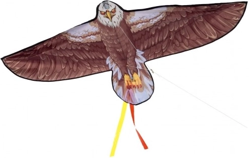 Cerf-volant en nylon en forme d’aigle
