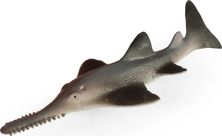 Poisson-scie de mer 14 cm