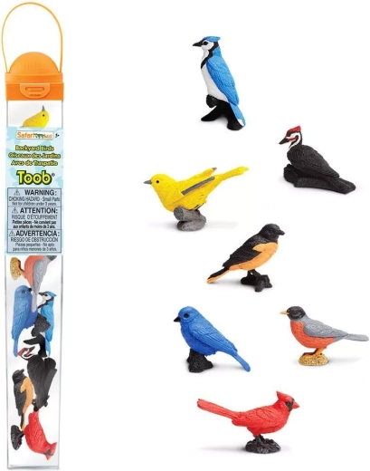 Safari Ltd. TOOBS tube oiseaux