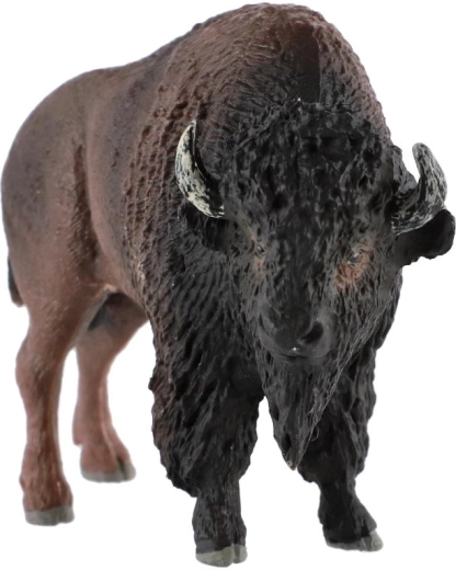 Animal d’Amérique du Nord