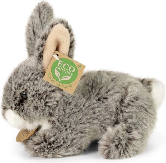 Une représentation fidèle du lapin
