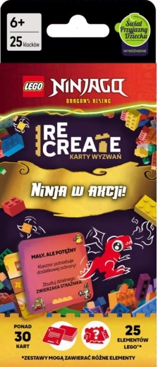 LEGO NINJAGO Cartes de défis : Ninja en action
