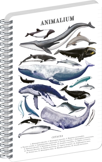 Bloc-notes spirale Notique Animalium Sous la mer A4 ligné