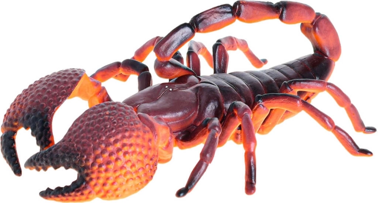 4 types d’insectes – choisissez votre préféré