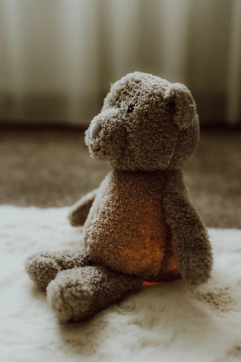 Compagnon en peluche tout doux