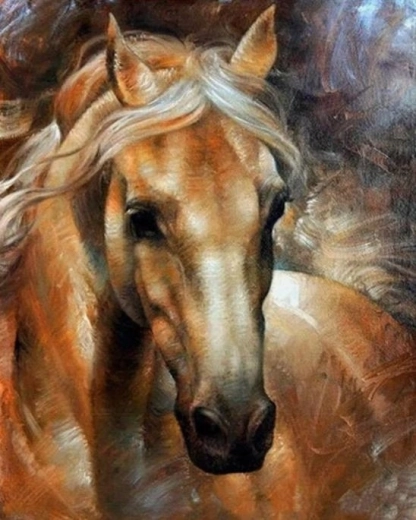 Norimpex peinture par numéros portrait de cheval 40 × 50 cm