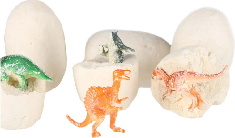 Outils du petit archéologue inclus