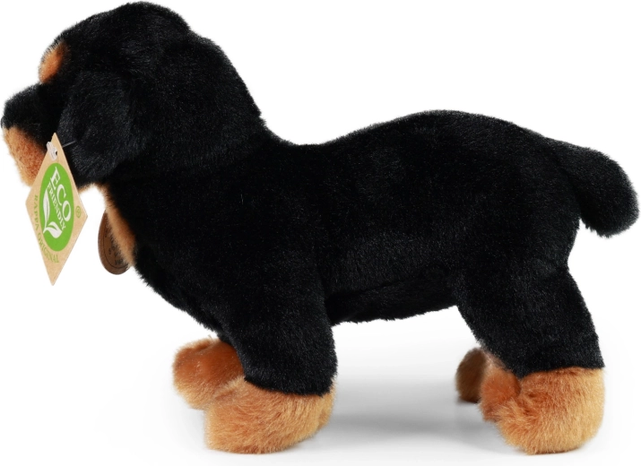 Partie de la RAPPA Exclusive Collection