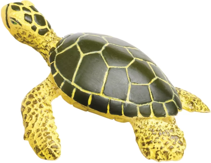 Idéal pour apprendre sur la nature et l’océan
