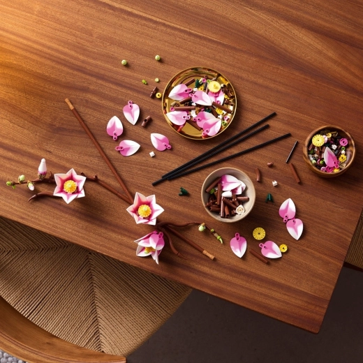 Construction apaisante pour adultes