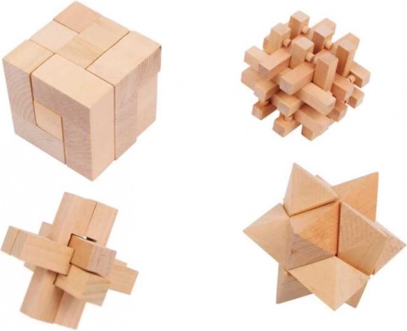 Casse-têtes en bois – Set de 4 pièces
