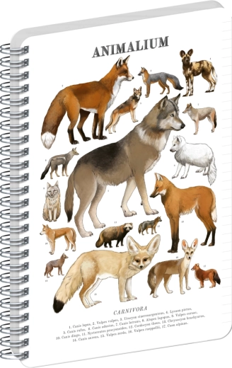 Bloc-notes spiralé Notique Animalium – canidés, ligné, A4