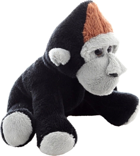 Détails adorables et expression amicale