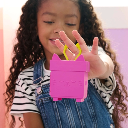 Minibox portable en forme de chat