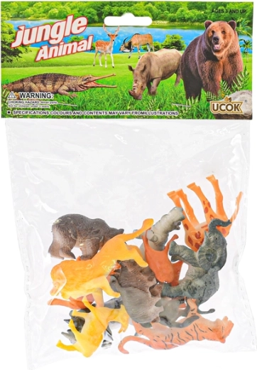 Taille compacte 5–7 cm