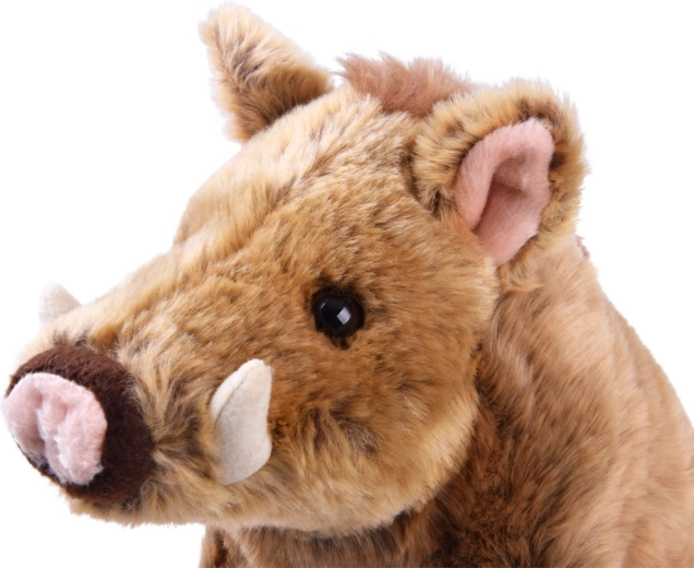 Conception sûre certifiée CE