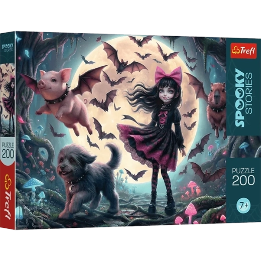 200 pièces et image finale 480 × 340 mm