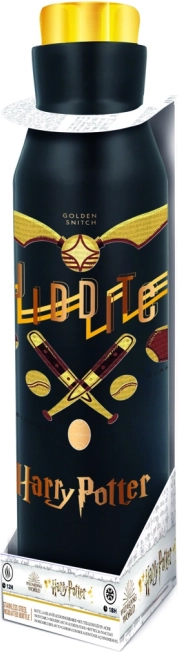 Bouteille isotherme en acier inoxydable Harry Potter 580 ml