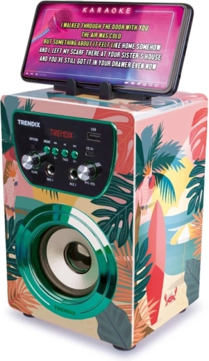 Connexion Bluetooth et karaoké depuis un mobile