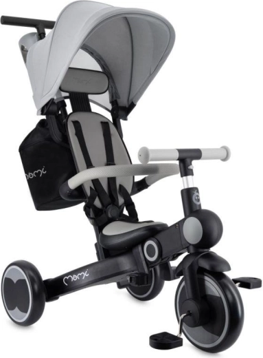 Tricycle pour enfants MoMi Solivia gris