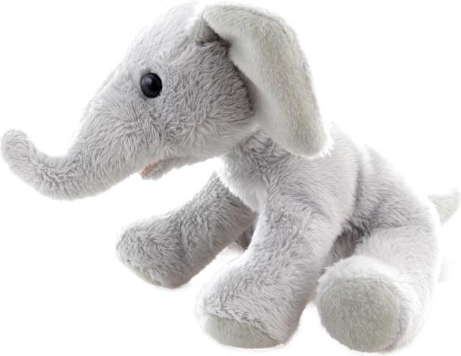 Taille compacte 15 cm