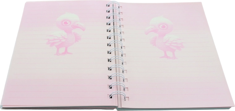 Pages lignées colorées pour des notes claires