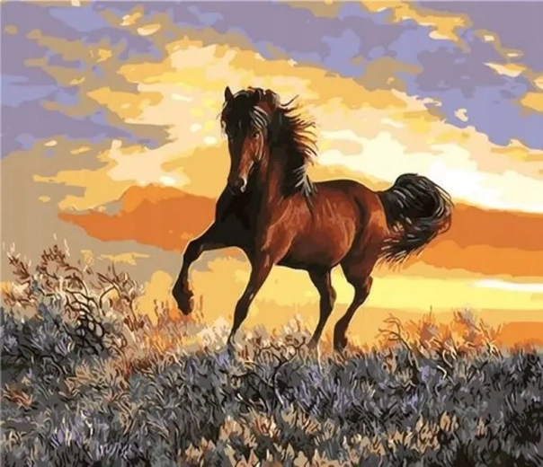 Norimpex Peinture par numéros Cheval au coucher du soleil 40 × 50 cm