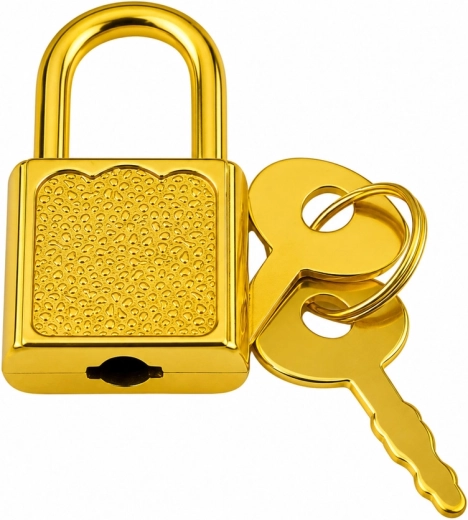 Fermeture par cadenas avec 2 clés