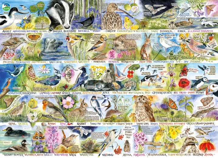 Puzzle GIBSONS RSPB la magie de la nature printanière 1000 pièces