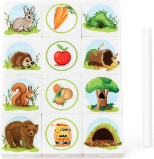Illustrations claires pour une compréhension facile